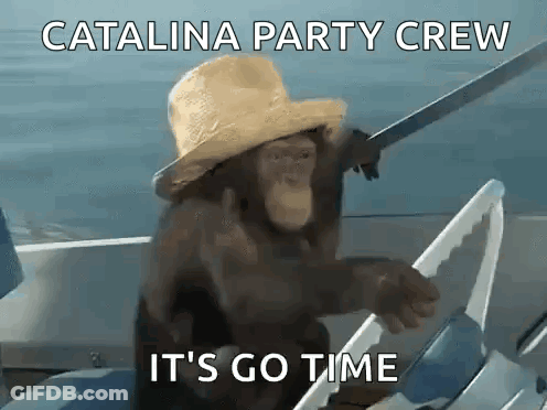 Chimpanzee In Straw Hat Holding Sword GIF