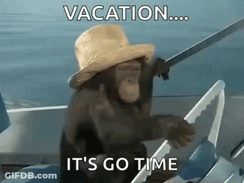 Chimpanzee In Straw Hat On Boat With Sword GIF