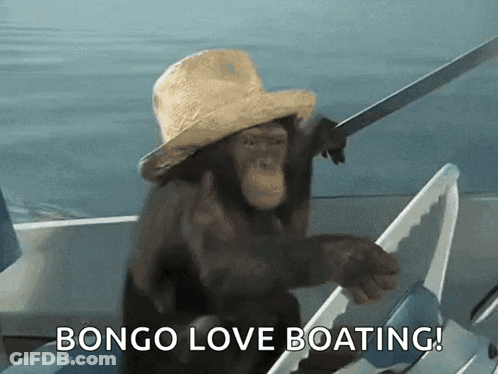 Chimpanzee In Straw Hat Rowing Boat Bongo Love Boating GIF