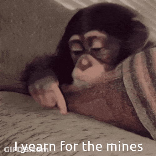 Chimpanzee Laying On Couch Saying I Yearn For The Mines GIF