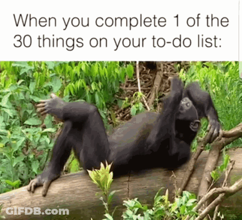 Chimpanzee Laying On Log When You Complete 1 Of The 30 Things On Your To-Do List GIF
