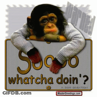 Chimpanzee Leaning Over Sign Saying Whatcha Doin? GIF