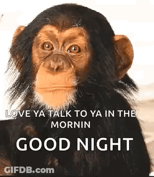 Chimpanzee Love Ya Talk To Ya In The Mornin GIF