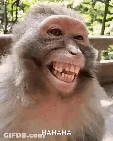 Chimpanzee Love Ya Talk To Ya In The Mornin GIF