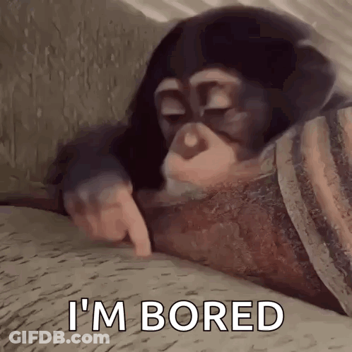 Chimpanzee Lying On Couch Pointing GIF