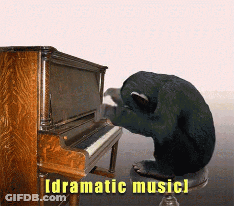Chimpanzee Playing Piano Dramatic Music GIF
