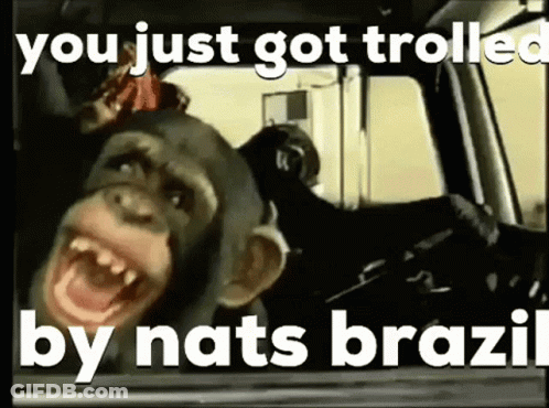 Chimpanzee Sitting In Car With Mouth Open GIF