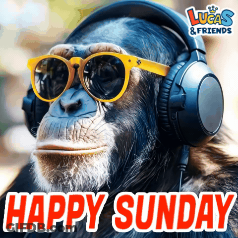 Chimpanzee Wearing Headphones And Sunglasses GIF