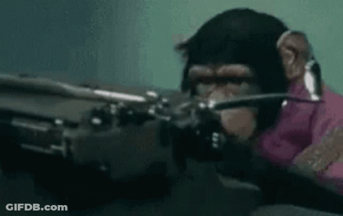 Chimpanzee Wearing Headphones Holding Gun GIF