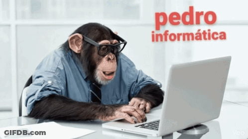 Chimpanzee With Glasses At Laptop Pedro Informatica GIF