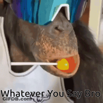 Chimpanzee With Sunglasses And Lollipop GIF