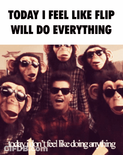 Chimpanzees Wearing Sunglasses Saying Today I Feel Like Flip Will Do Everything GIF
