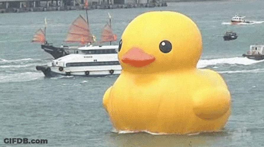 China GIF