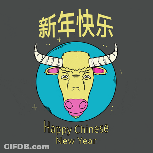 China Celebration Chinese New Year GIF