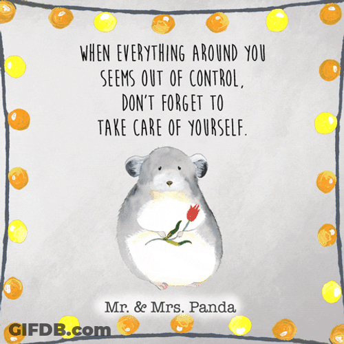 Chinchilla Don't Forget To Take Care Of Yourself GIF