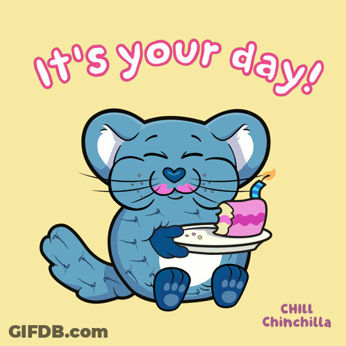 Chinchilla Holding Cake Saying It's Your Day GIF