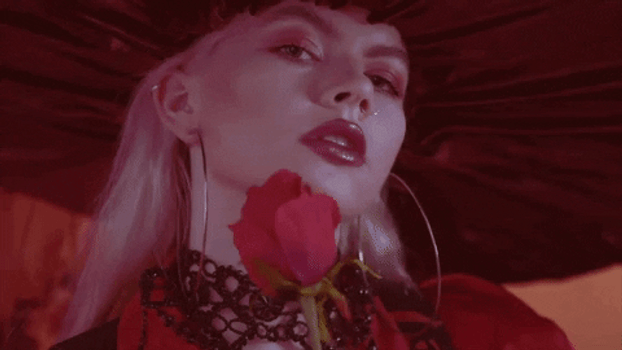 Chinchilla Music Holding Red Rose GIF