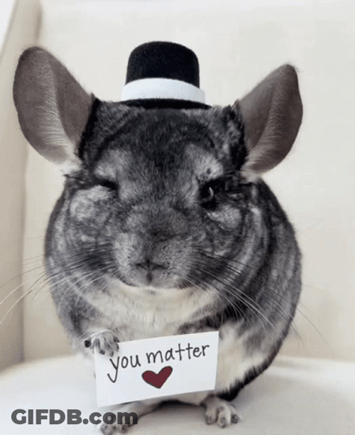 Chinchilla You Matter Wink GIF