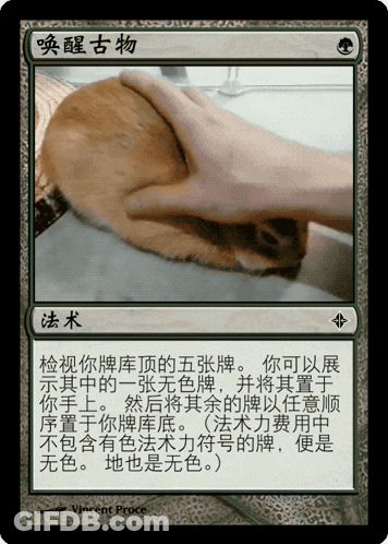 Chinese Card Hand Holding Something GIF