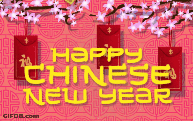 Chinese New Year 2022 Raining Money GIF
