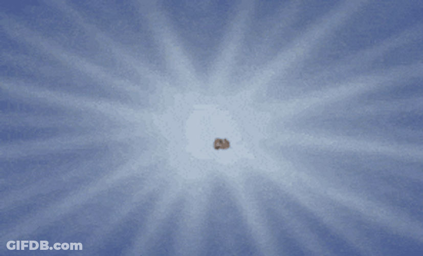 Chip And Dale Show GIF
