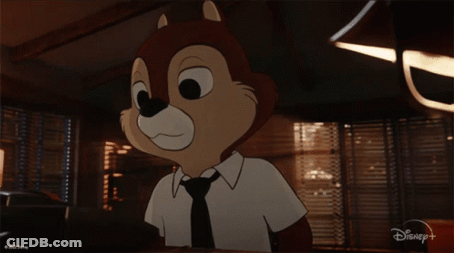 Chip N Dale Nope Dont Like That GIF