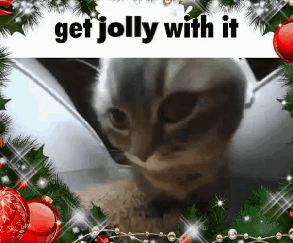 Chipi Chipi Chapa Chapa Cat Get Jolly GIF