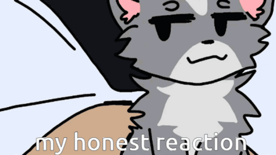 Chipi Chipi Chapa Chapa Cat Head Shake Reaction GIF