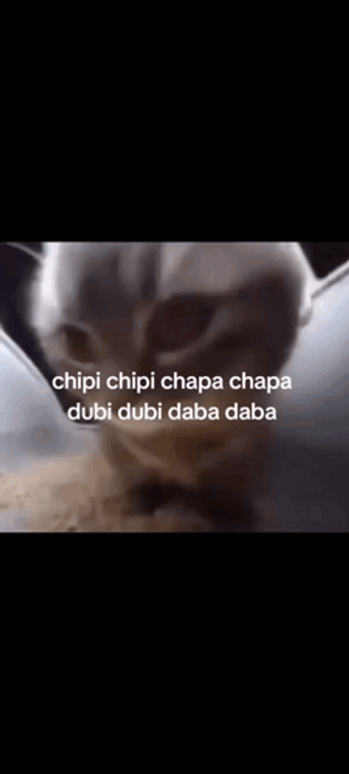 Chipi Chipi Chapa Chapa Dancing Cat Meme GIF
