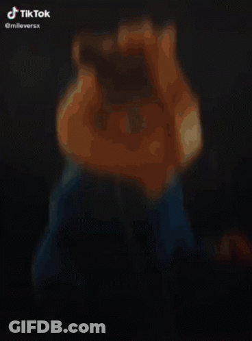 Chipmunk In Blue Hoodie With TikTok Watermark GIF