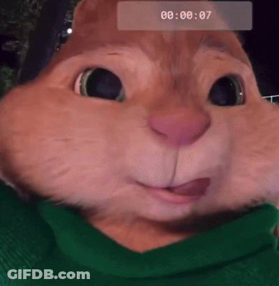 Chipmunk In Green Sweater 00 00 07 GIF