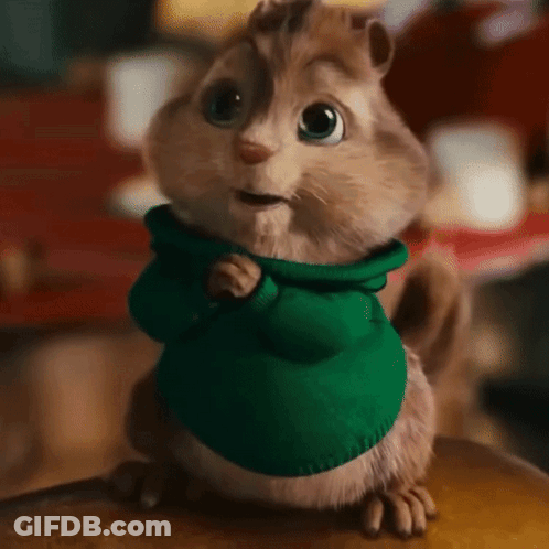 Chipmunk In Green Sweater Standing On Table GIF