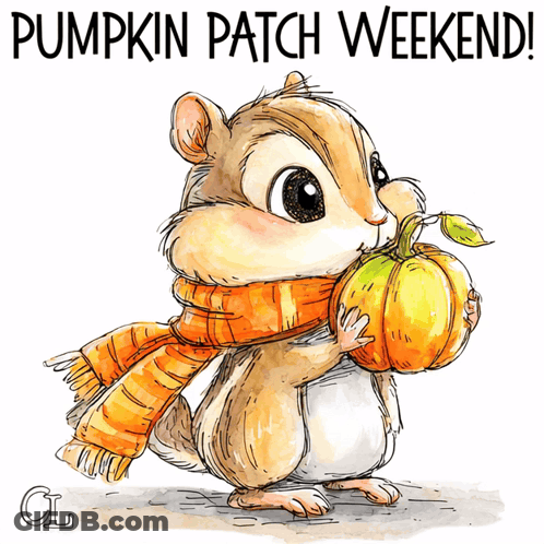 Chipmunk In Scarf Holding Pumpkin Pumpkin Patch Weekend GIF
