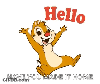 Chipmunk Jumping Hello Have You Made It Home GIF