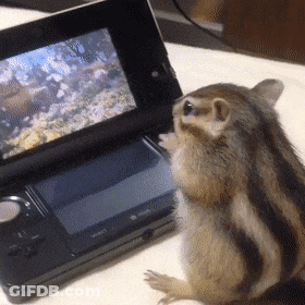Chipmunk Sitting In Front Of Video Game Console GIF