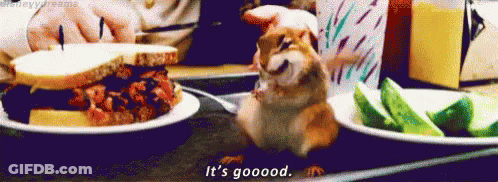 Chipmunk Sitting On Tray Next To Food And Cucumber Slices GIF