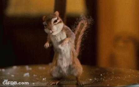 Chipmunk Standing On Hind Legs Looking At Camera GIF