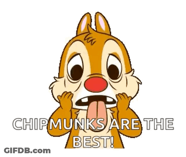 Chipmunks Silly Face GIF