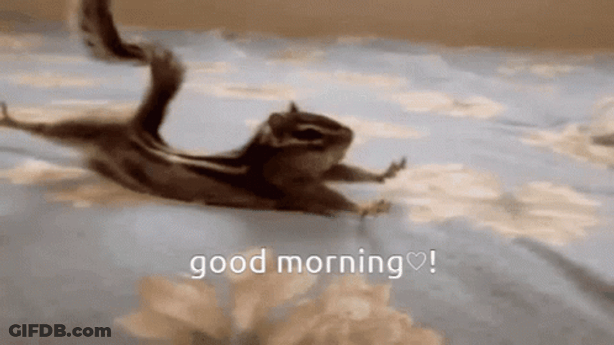Chipmunks Sliding On The Bed GIF