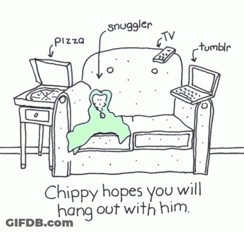 Chippy Hopes You Will Hang Out With Him Couch GIF
