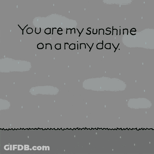 Chippy Sunshine On A Rainy Day GIF