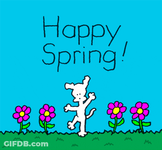 Chippy The Dog Happy Spring GIF