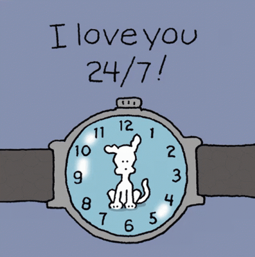Chippy The Dog I Love You 24 7 GIF
