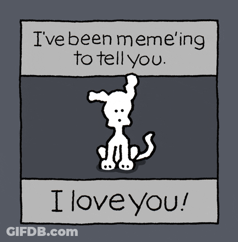Chippy The Dog Meme GIF