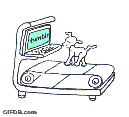 Chippy The Dog On Treadmill GIF