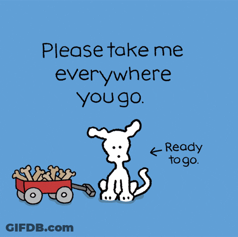 Chippy The Dog Ready To Go GIF