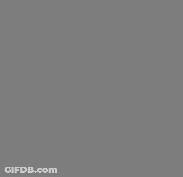 Chippy The Dog Saying I Love You GIF