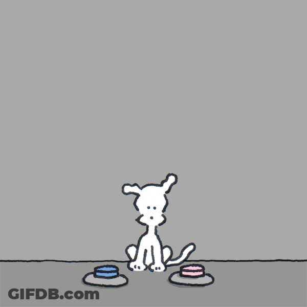 Chippy The Dog Saying You Are Beautiful GIF