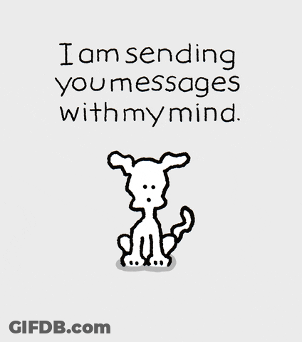 Chippy The Dog Sending Mind Messages GIF