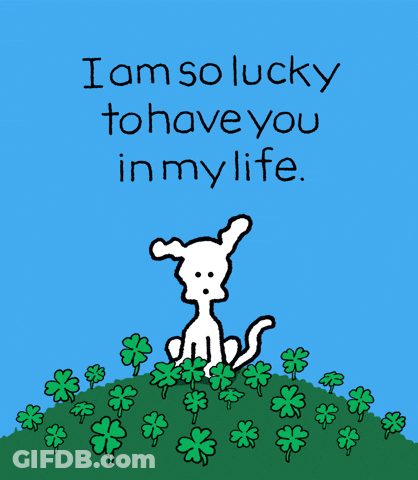 Chippy The Dog Shamrock Lucky GIF